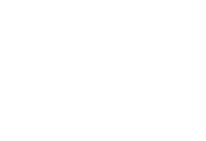 Voodoo Pilots Logo